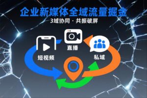 短视频全域商业模式，企业新媒体全域流量掘金，3域协同，共振破屏，短视频-直播-私域-地域-网赚资源网