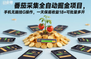 番茄采集全自动掘金项目，手机无脑挂G操作，一天保底收益18+可批量多开【揭秘】-网赚资源网