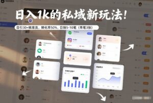 日入1k的私域新玩法：日引30+精准流，转化率50%，日销5-10笔（单笔3张）-网赚资源网