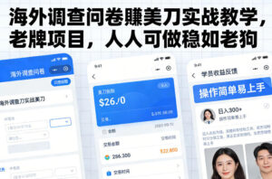 海外调查问卷賺美刀实战教学，老牌项目，人人可做稳如老狗-网赚资源网