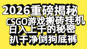 2026开年重磅解密，CSGO游戏搬砖挂G日入1k+的秘密，把倒狗的底裤扒干【揭秘】-网赚资源网