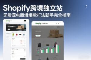 Shopify跨境独立站无货源电商爆款打法新手完全指南-网赚资源网