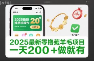 2025最新零撸薅羊毛项目，纯手机操作，20秒一单，无任何门槛，一天200+做就有【揭秘】-网赚资源网