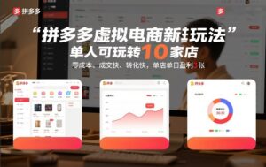 拼多多虚拟电商新玩法，单人可玩转10家店，零成本、成交快、转化快，单店单日盈利3张【揭秘】-网赚资源网