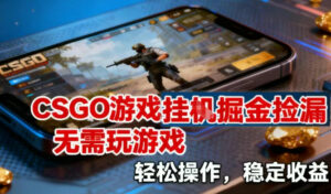 CSGO游戏挂G掘金捡漏，不需要玩游戏，操作简单，收益稳定【揭秘】-网赚资源网