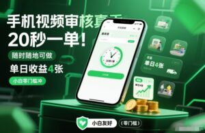手机视频审核真香！20秒一单，随时随地可做，单日收益4张，小白零门槛冲【揭秘】-网赚资源网