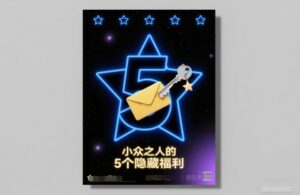 付费文章：小众之人的5个隐藏福利-网赚资源网