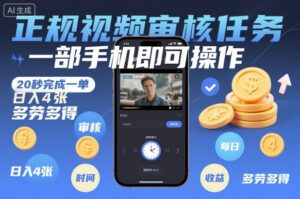 正规视频审核任务，一部手机即可操作，20秒完成一单，日入4张，多劳多得【揭秘】-网赚资源网