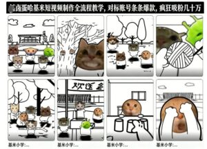 卤蛋哈基米短视频制作全流程教学，条条爆款，疯狂吸粉几十万-网赚资源网