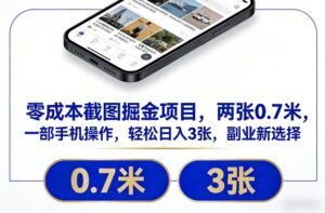 零成本截图掘金项目，两张0.7米，一部手机操作，轻松日入3张，副业新选择【揭秘】-网赚资源网