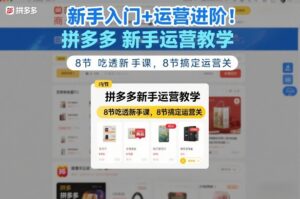 新手入门+运营进阶！拼多多新手运营教学，8节吃透新手课，8节搞定运营关-网赚资源网