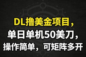 DL撸美金项目，单日单机50美刀，操作简单，可矩阵多开-网赚资源网