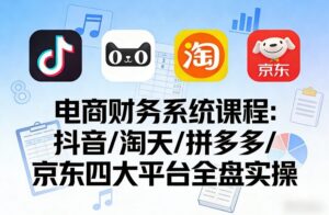 电商财务系统课程，覆盖抖音、淘天、拼多多、京东四大主流平台的全盘实操-网赚资源网