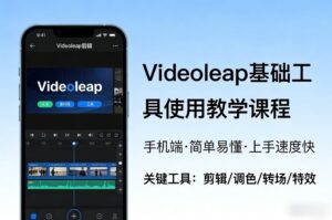 Videoleap基础工具使用教学课程，手机端视频剪辑教学，简单易懂，上手速度快-网赚资源网