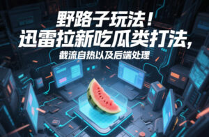 野路子玩法！迅雷拉新吃瓜类打法，截流自热以及后端处理-网赚资源网