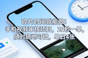 碎片时间就能做！手机视频审核项目，20秒一单，随时随地可做，单日4张+【揭秘】-网赚资源网
