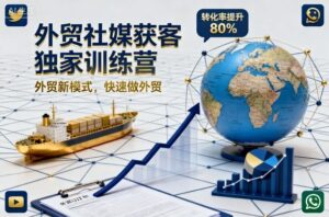 外贸社媒获客独家训练营，外贸新模式，快速做外贸（更新26年2月）-网赚资源网