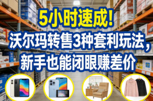 5小时速成！沃尔玛转售3种套利玩法，新手也能闭眼賺差价-网赚资源网