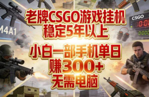 老牌CSGO游戏挂G，稳定5年以上，小白一部手机单日賺3张+，无需电脑【揭秘】-网赚资源网