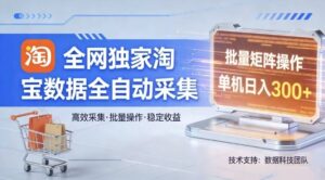 全网独家，淘宝数据全自动采集项目，批量可矩阵，单机轻松日入300【揭秘】-网赚资源网
