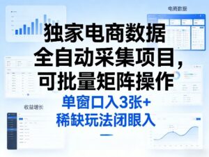 独家电商数据全自动采集项目，可批量矩阵操作，单窗口日入3张+，稀缺玩法闭眼入【揭秘】-网赚资源网