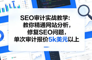 SEO审计实战教学:教你精通网站分析,修复SEO问题,单次审计报价5k美元以上-网赚资源网