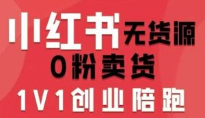 小红书无货源0粉电商课，开店准备、选品策略、笔记撰写、视频剪辑、数据分析、账号打造、资料文档（更新26年3月）-网赚资源网