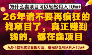 为什么真正賺到钱的都在卖项目，从0-1教你卖项目的方法，看完你也可以月入10w+【揭秘】-网赚资源网