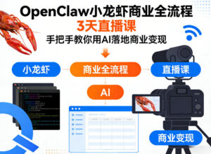 OpenClaw小龙虾商业全流程3天直播课，手把手教你用AI落地商业变现-网赚资源网