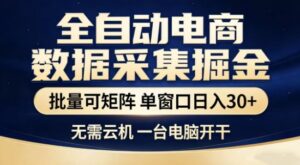独家电商数据全自动采集项目，批量可矩阵，单窗口轻松日入3张+【揭秘】-网赚资源网
