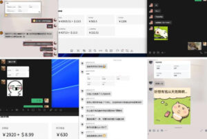 雷神加速器项目模拟器_无脑1分钟1条视频矩阵_疯狂报单打法【焚诀】-网赚资源网