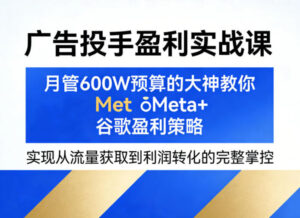 广告投手盈利实战课,月管600W预算的大神教你Meta+谷歌盈利策略,实现从流量获取到利润转化的完整掌控-网赚资源网