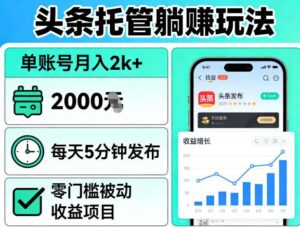 头条托管躺賺玩法，单账号月入2k+，每天5分钟发布即可，零门槛被动收益项目【揭秘】-网赚资源网