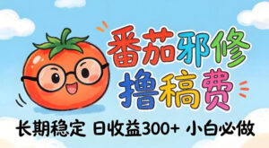 番茄撸金术：日入300+稳如泰山！独家玩法曝光，操作门槛极低，无需经验，小白闭眼上车【揭秘】-网赚资源网