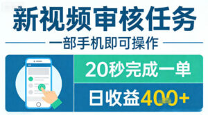 新视频审核任务，一部手机即可操作，20秒完成一单，日收益4张+【揭秘】-网赚资源网