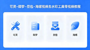 可灵–即梦–豆包–海螺视频去水印工具带视频教程-网赚资源网