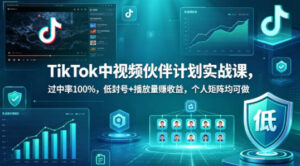 TikTok中视频伙伴计划实战课，过中率100%，低封号+播放量賺收益，个人矩阵均可做-网赚资源网