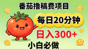 番茄撸稿费，每天20分钟，日入300+！0门槛躺賺，小白直接抄作业【揭秘】-网赚资源网