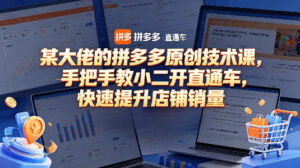 某大佬的拼多多原创技术课，手把手教小二开直通车，快速提升店铺销量-网赚资源网