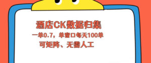 上班也能玩的酒店CK数据归集，一单0.7单窗口每天可做100单，一个人就能矩阵操作【揭秘】-网赚资源网