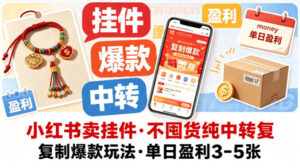 小红书卖挂件，不囤货纯中转复制爆款玩法，单日盈利3-5张-网赚资源网
