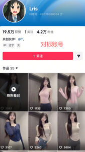 最新AI美女视频制作教学,去AI痕迹,全程带你落地,不玩虚的-网赚资源网