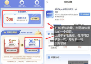 手机流量领取推广_每月一轮，刚需类的长期项目-网赚资源网
