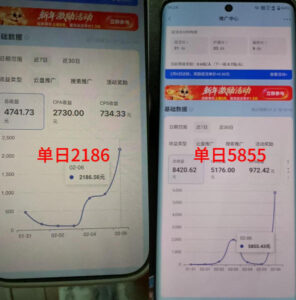抖音收藏家项目，一天200-1k+做起来很简单，只要你做了，就一定会有收益-网赚资源网