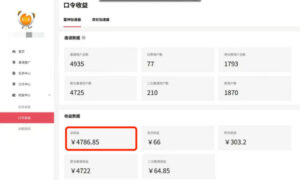 APP拉新蓝海项目，亲测每天稳定收益100-200，项目正规长期-网赚资源网