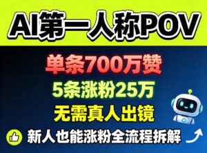 AI第一人称POV，单条700W赞，5条涨粉25W，无需真人出镜，新人也能涨粉全流程拆解-网赚资源网
