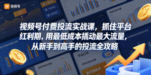 视频号付费投流实战课,抓住平台红利期,用最低成本撬动最大流量,从新手到高手的投流全攻略-网赚资源网