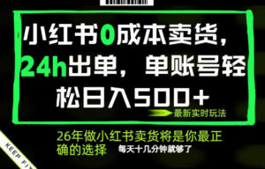 小红书0成本AI卖货，24小时出单，全流程托管，保底日入500+，每天十几分钟就够了【揭秘】-网赚资源网