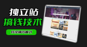 干货来袭!麦子甜带你吃透独立站|从搭建到引流一站式教学《独立站》第一期-网赚资源网