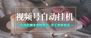 视频号自动挂G项目,自动化脚本省时省力,手工单价更高,日入300+全网最稳【揭秘】-网赚资源网